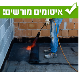 אוטמים מורשים